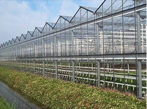 Turnkey Greenhouse Systems