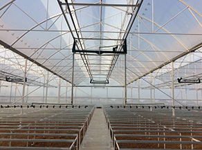 Seedbed Greenhouses