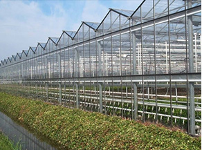 Modern Greenhouses