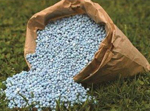 Organic and Chemical Fertilizers